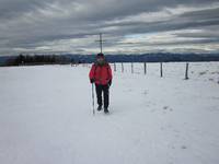 Titelbild des Albums: Sch&ouml;ckl 26.12.2011