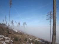 Titelbild des Albums: Sch�ckl 11.02.2012